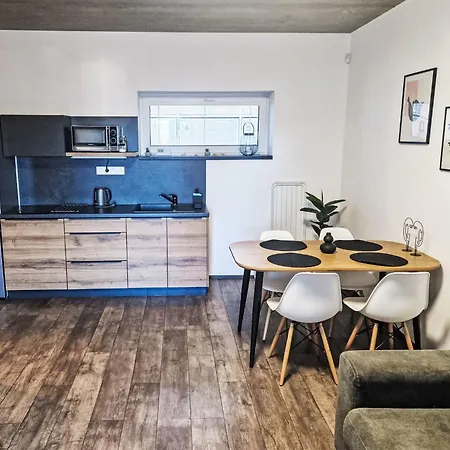 Costa Plana By Interhome Apartment Cerna v Posumavi