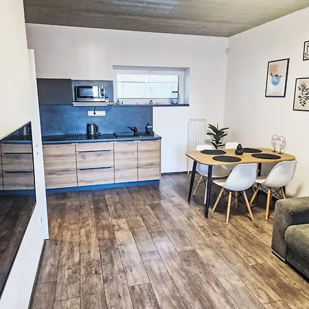 Costa Plana By Interhome Cerna v Posumavi